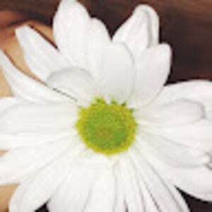 Meet your Posher, Jayda